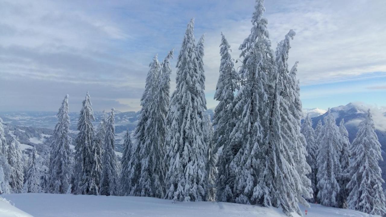 Ferienhaus Berghalde Schwarzenberg im Bregenzerwald Exteriér fotografie